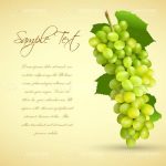 Dark to Light Cream Background with a Bunch of Green Grapes and Sample Text